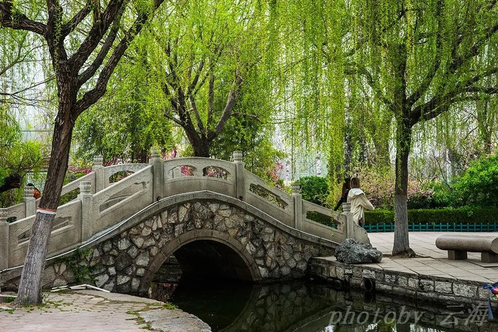 漫行潍坊东苑公园春天有丁香花