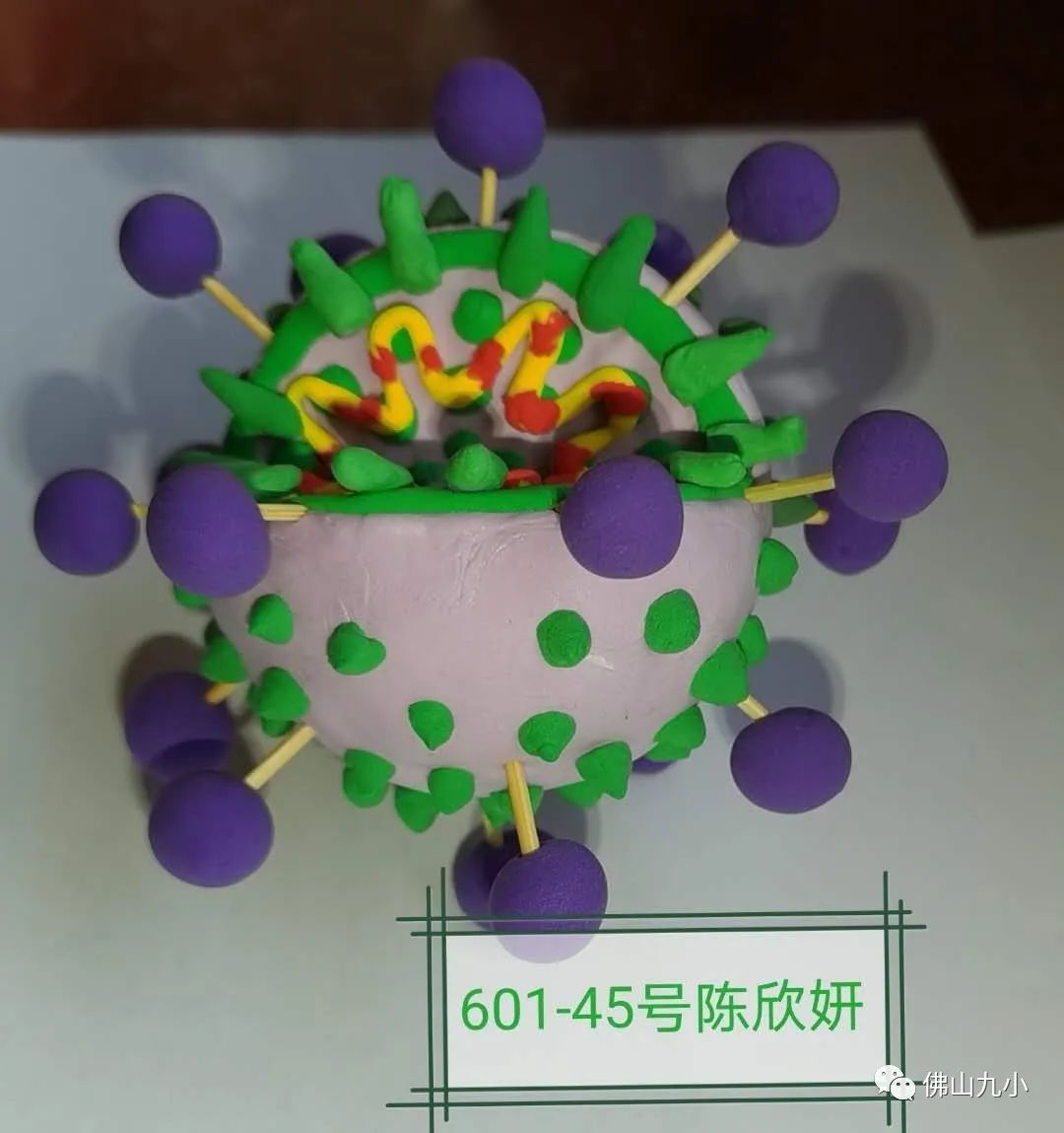 新型冠状病毒模型图片