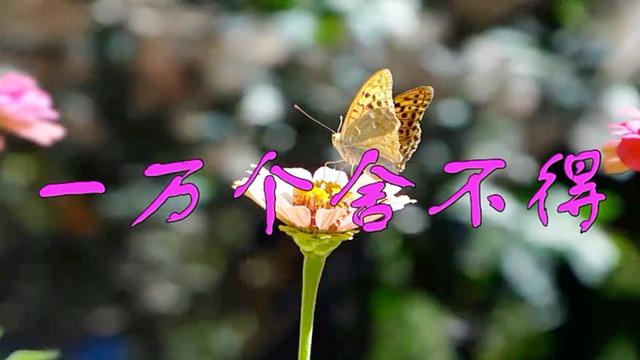 庄心妍最火的歌曲一万个舍不得唱哭了多少女生网友超好听