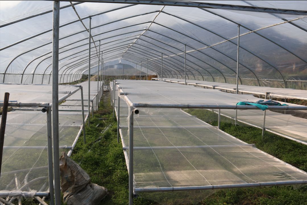 晾晒棚收地膜"我叫吴永妹,红龙村人,家有四个读书娃娃和一个老妈妈