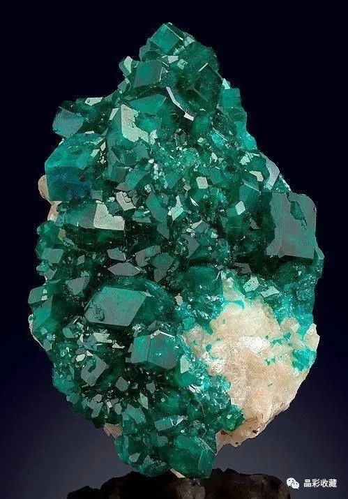 「晶彩矿谱」|绿意盎然的春天终会到来——翠铜矿(dioptase)
