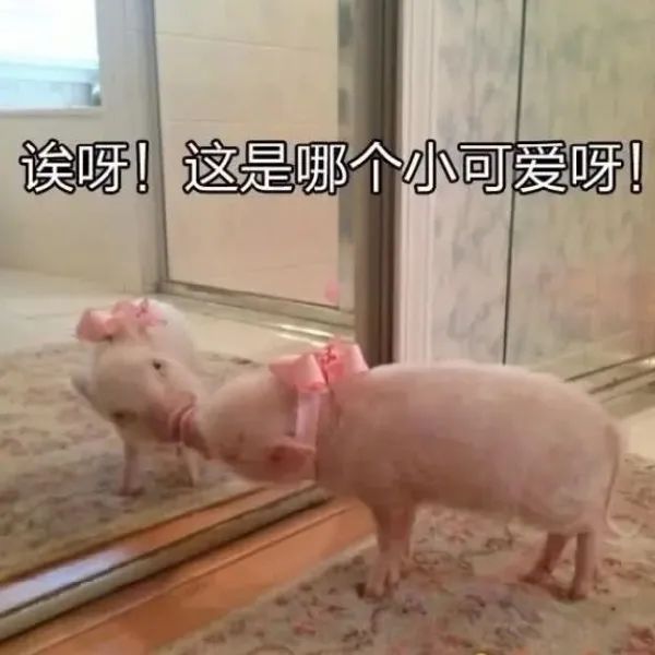 搞怪风格微信qq头像