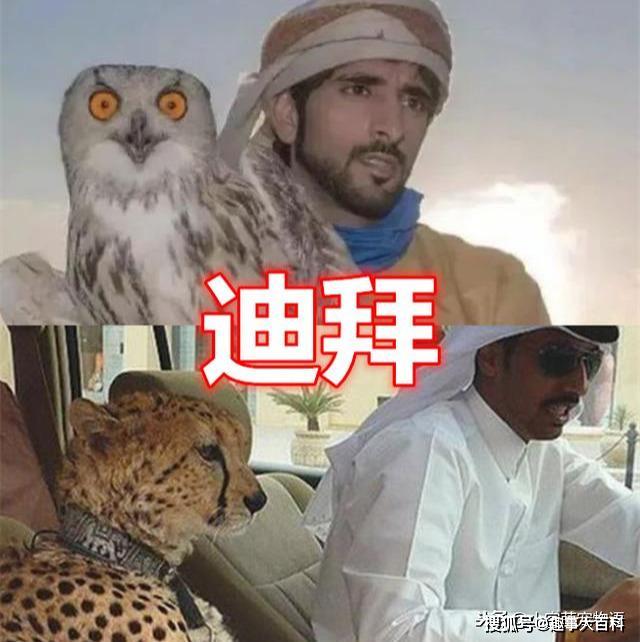 养宠物也有差距中国养狗俄罗斯养熊看到迪拜壕无人性