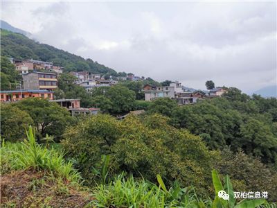 快讯双柏县这5个村上榜云南省美丽村庄