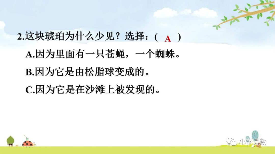 部編版四年級下冊第5課琥珀圖文講解