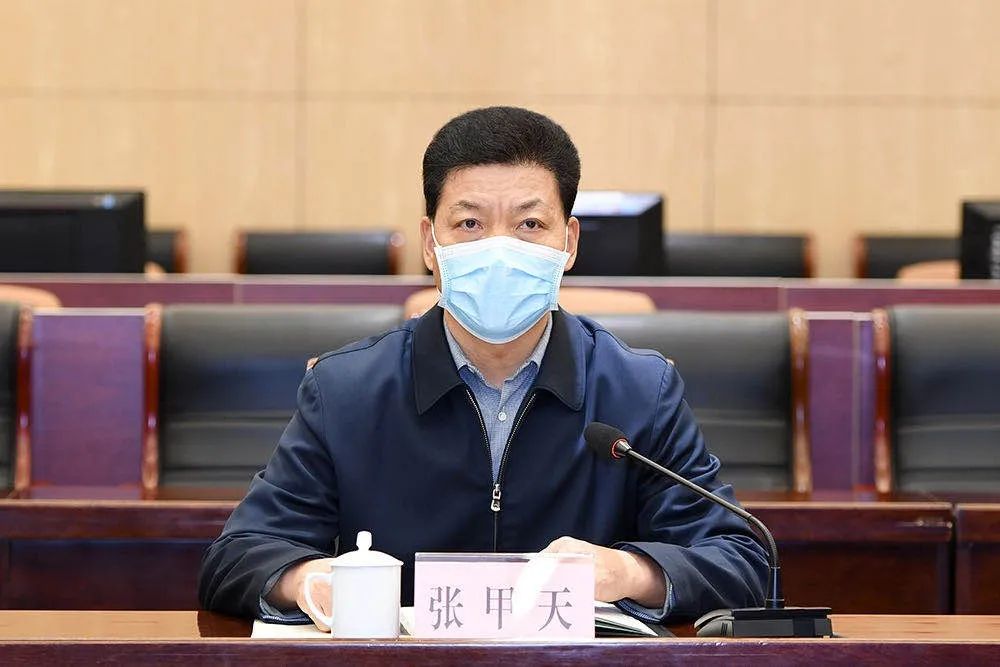 张甲天视频调度疫情防控和审判执行工作