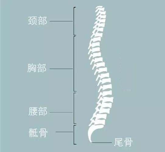 出現頸腰腿痛也可能不是簡單的頸腰椎病椎管腫瘤也要警惕