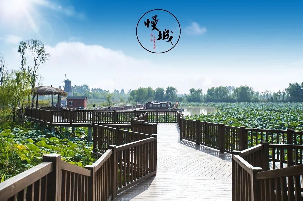 高青县慢城风景区图片