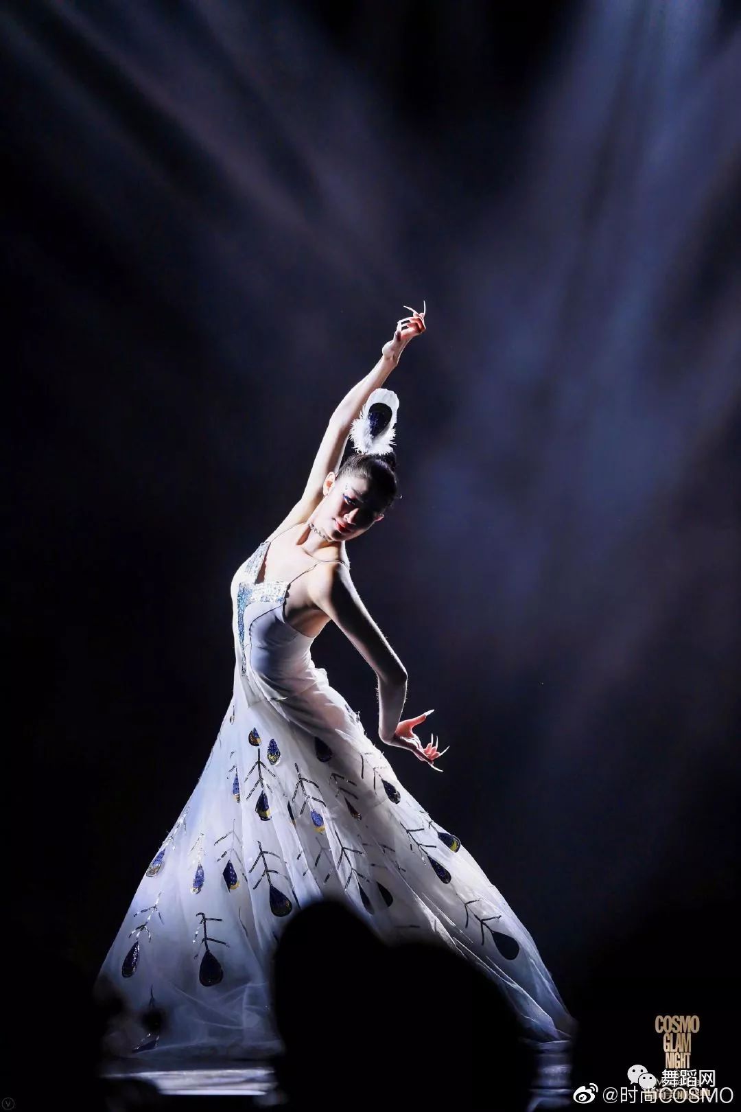 杨丽萍传承人白兔表演演雀之灵是杨老师的另一个侄女哦