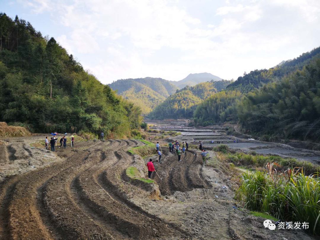 企业复工复产动态江西奉原生态科技有限公司石峡乡中药材企业复工