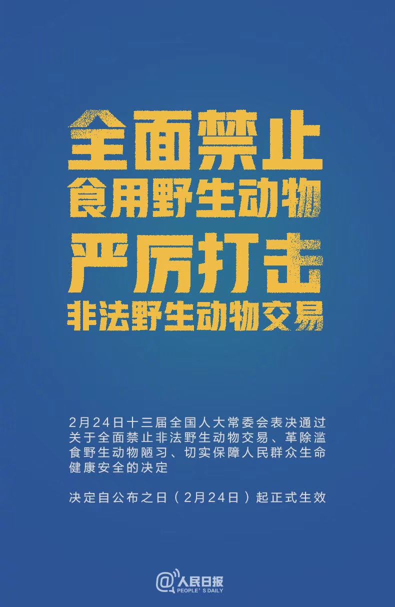 這十種野味好吃嗎人得low到什麼程度才會見啥都想吃啊