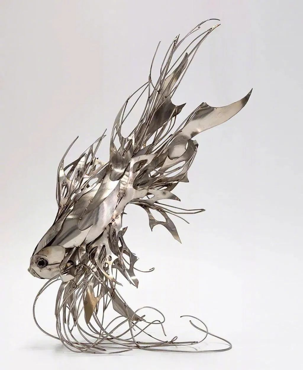 georgieseccull.- georgie seccull Ƭӵ
