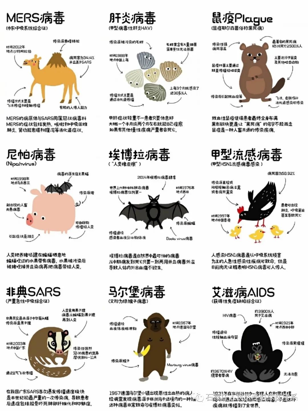 回溯过往,我们不难发现爆发的强烈传染病都是由于人们食用野生动物