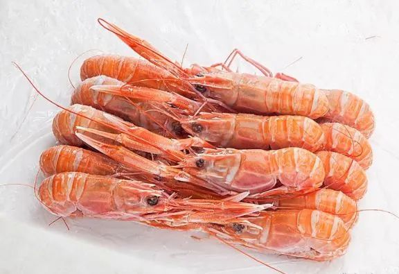 顺丰包邮!_龙虾