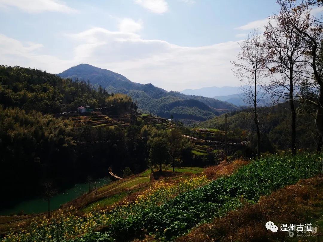 瑞安湖岭奇云峡谷东元娄山岭古道环线穿越,风景如画_元村