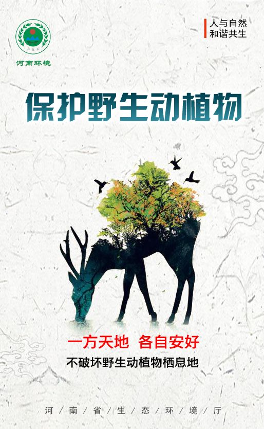 公民十条|呵护自然生态 保护野生动植物_家园