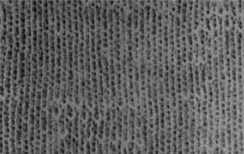 万元有偿征集针织面料坯布疵点图片