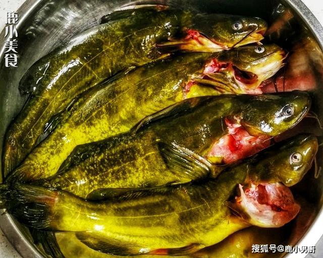 自从掌握此做法黄骨鱼再也不炖汤了鲜嫩汁香还能补钙补营养