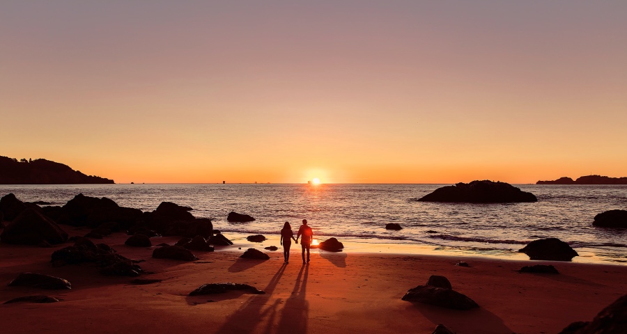 当前市场的确有点难,但家电主流企业们还能控制局面活下去!-家电圈官网