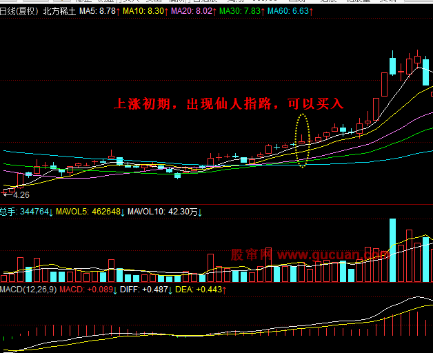 男女仙人指路形态图片图片