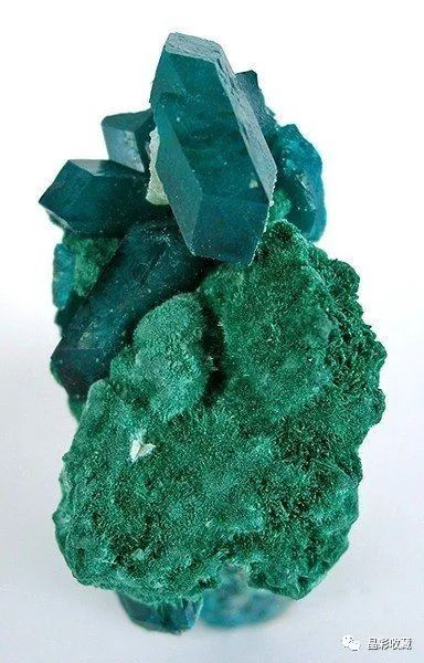 「晶彩矿谱」|绿意盎然的春天终会到来——翠铜矿(dioptase)