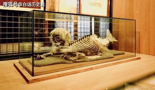 原创日本瑞龙寺存放着真龙标本不那只是一具人造的工艺品