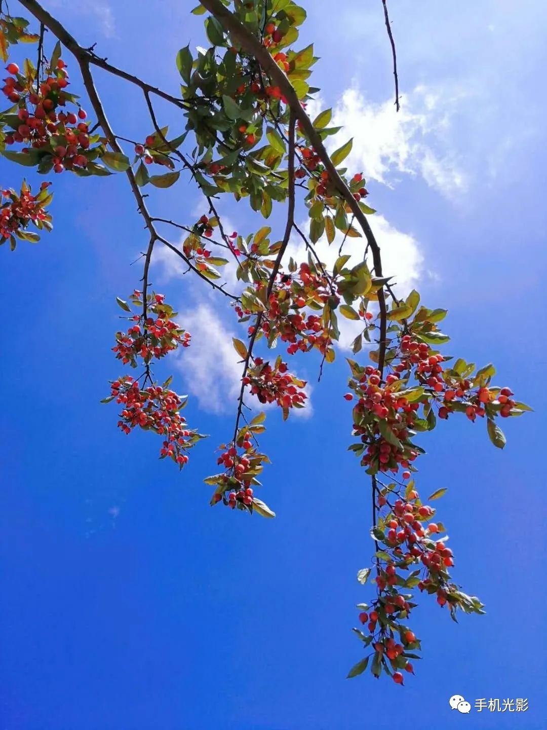 李珍摄瞿梅芳摄午夜星空摄良马晓船摄杨菲菲摄蓝猫摄江南雪摄bing摄