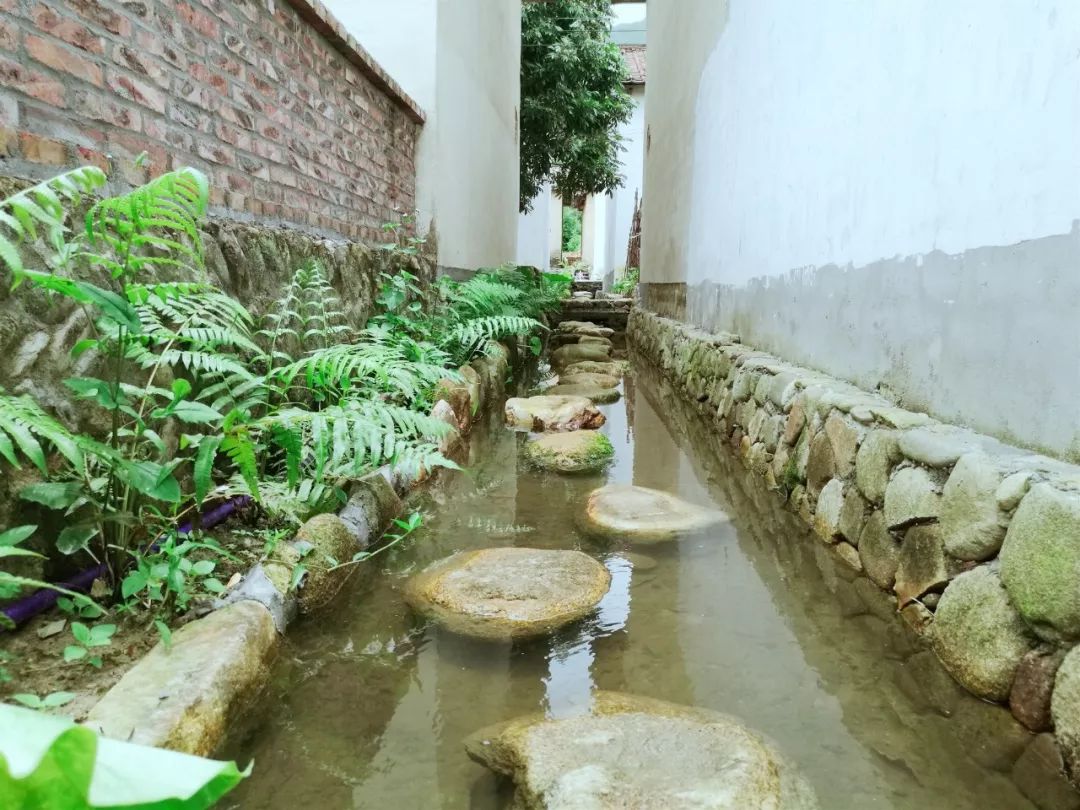 相约春暖花开游高明丨④闲逛乡村,邂逅美景,记住乡愁