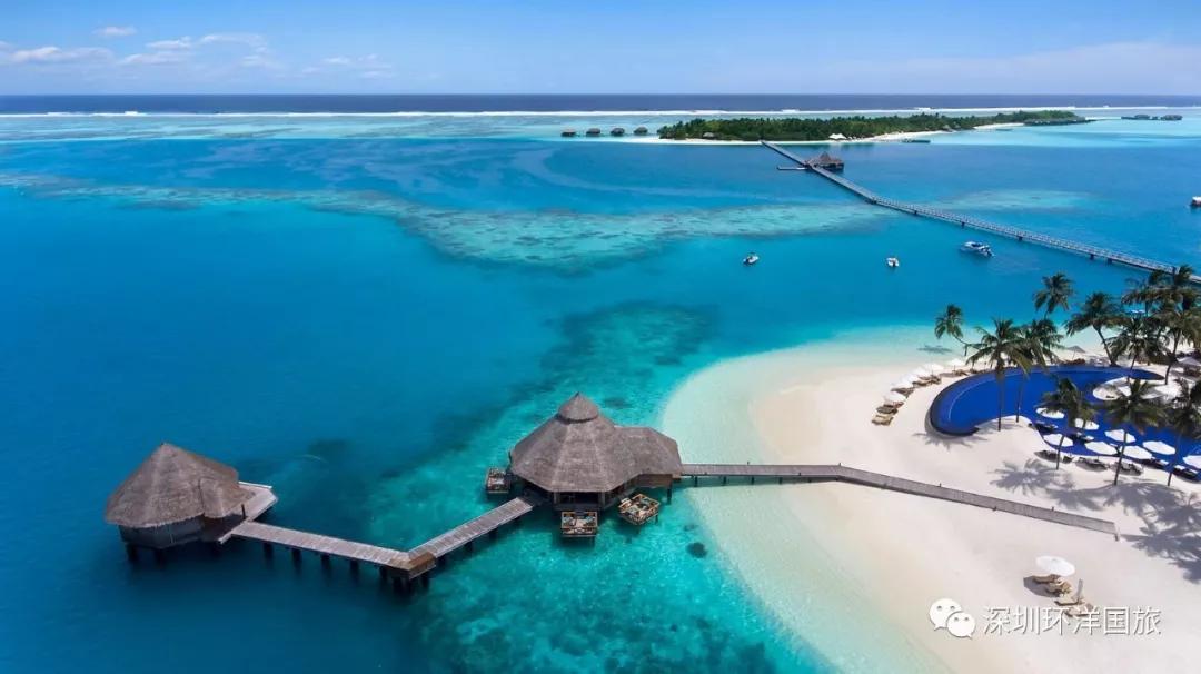 马尔代夫港丽岛conrad带你走进全球首家海底餐厅