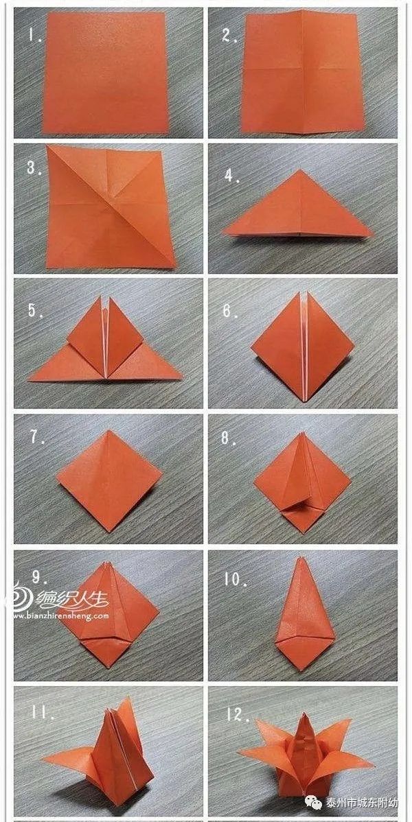 荷花怎样折纸图片