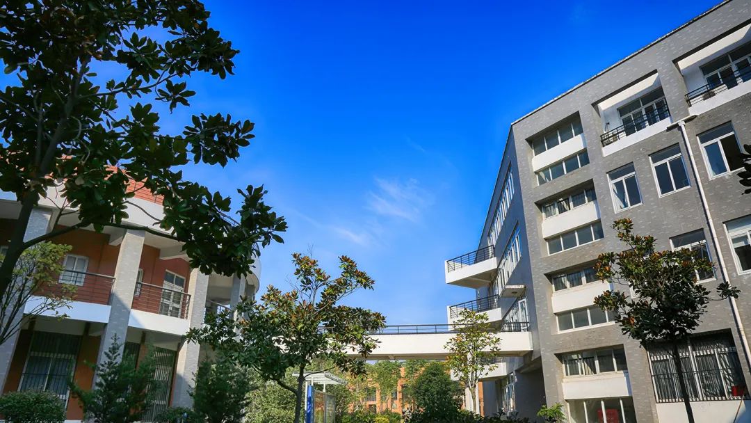 相遇在"云端" | 安徽新华学院诚聘全球英才,期待您的加入!