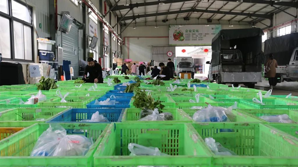 先锋故事」温兴群:进军生鲜电商服务"最后一公里"_配送