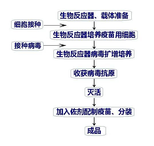 干货福利新型冠状病毒疫苗研究概述
