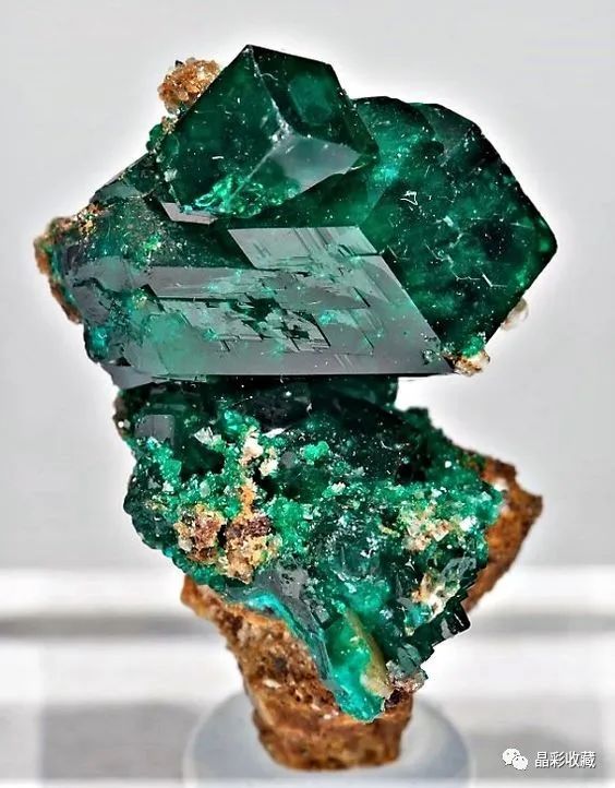 「晶彩矿谱」|绿意盎然的春天终会到来——翠铜矿(dioptase)