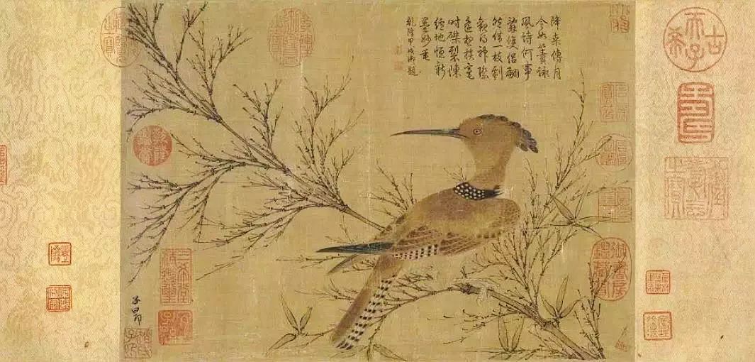 鉴赏古代中国绘画中的鸟类