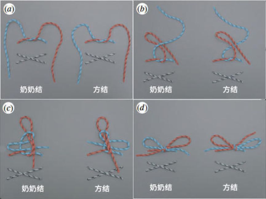 绳子的演变过程图片图片