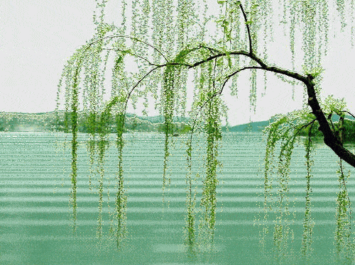 500_374gif 动态图 动图