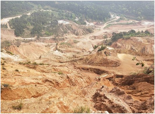 大宝山新山片区历史遗留矿山生态恢复工程坡面治理效果(1年).