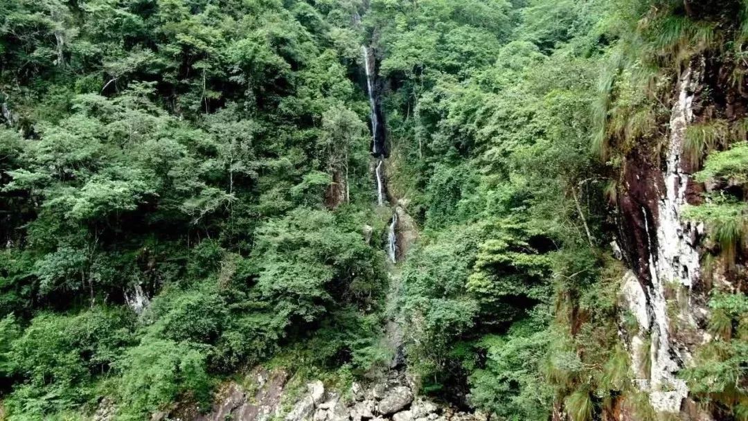 安遠三百山一日遊