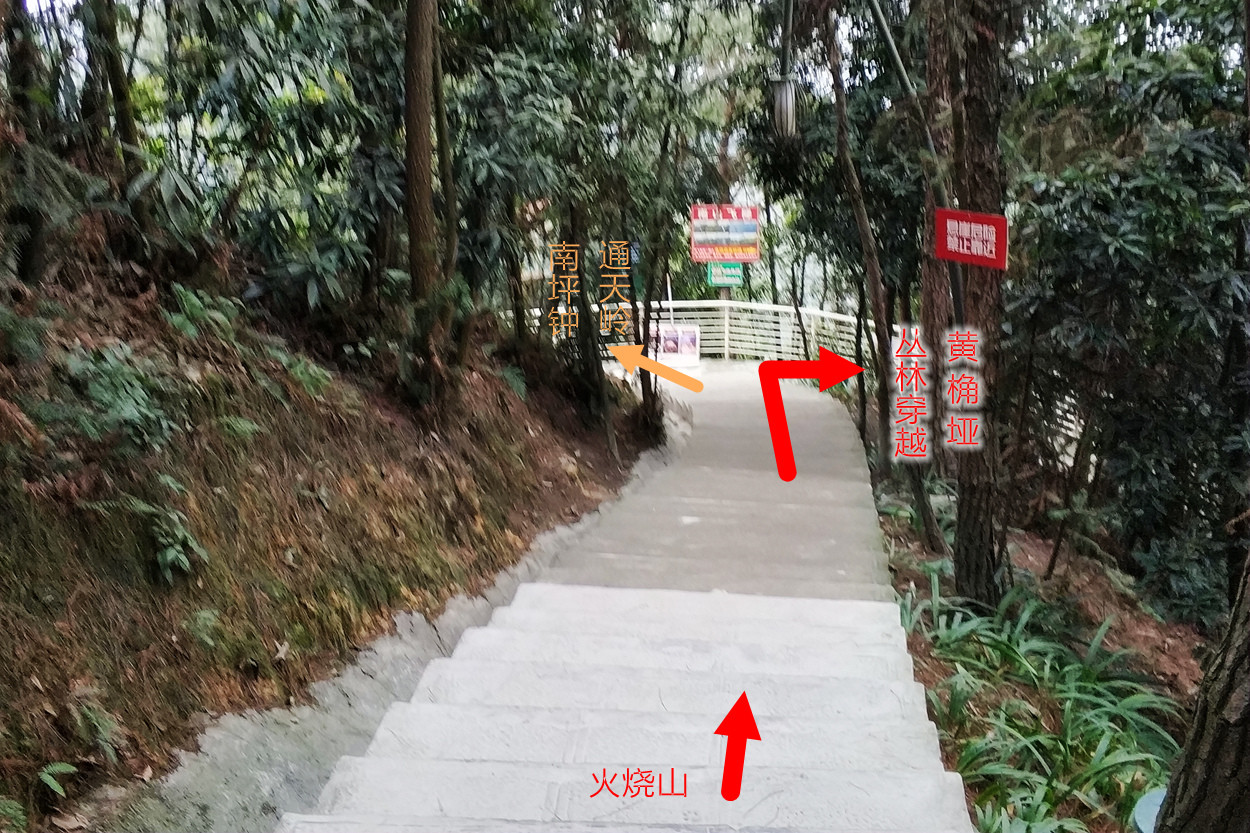 重庆南山登山步道-山间步道徒步路线(进阶篇)