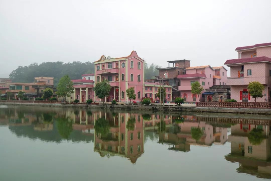 相约春暖花开游高明丨④闲逛乡村,邂逅美景,记住乡愁