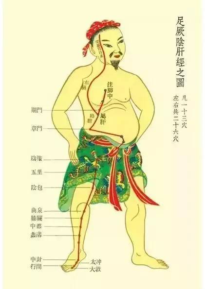 疏通肝经:每天晚上7-9点按摩肝不易受补,它最需要疏理,调通.