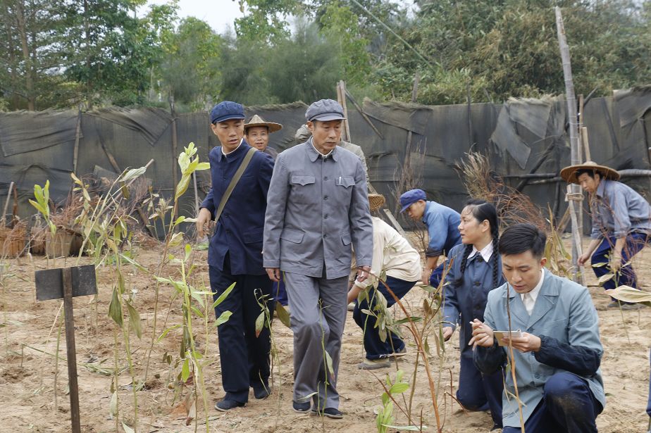 霸屏央视这部东山联合摄制的电视剧将在cctv1黄金时段播出