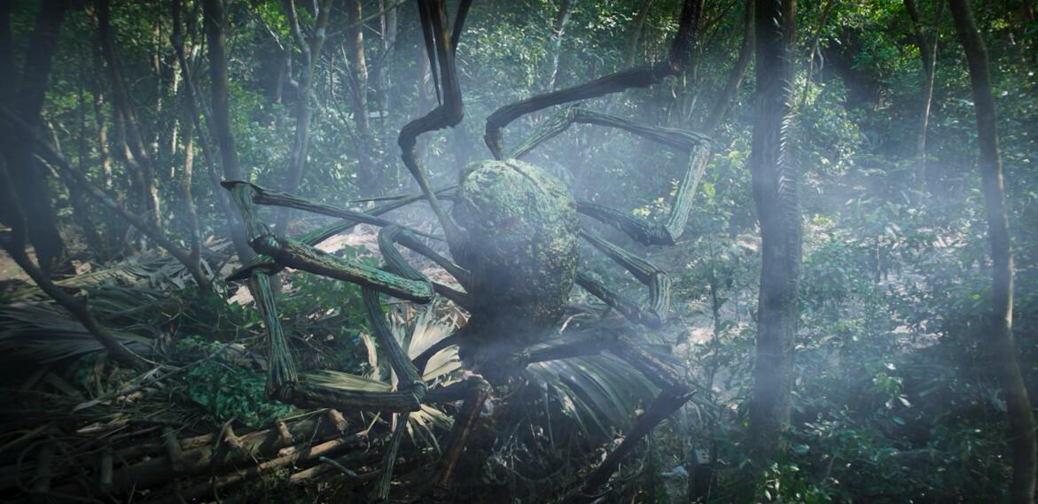 巨鳄岛蜘蛛图片