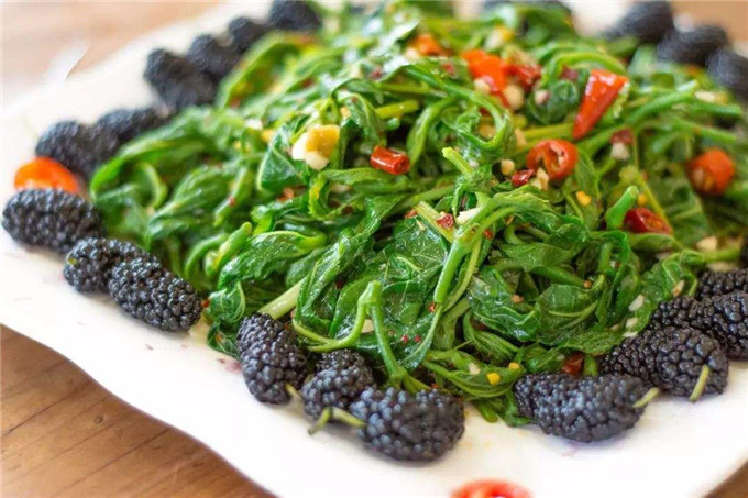 桑叶菜饼:桑叶(去掉叶柄)洗净,切成1cm见方的小块,放入开水锅内焯一下