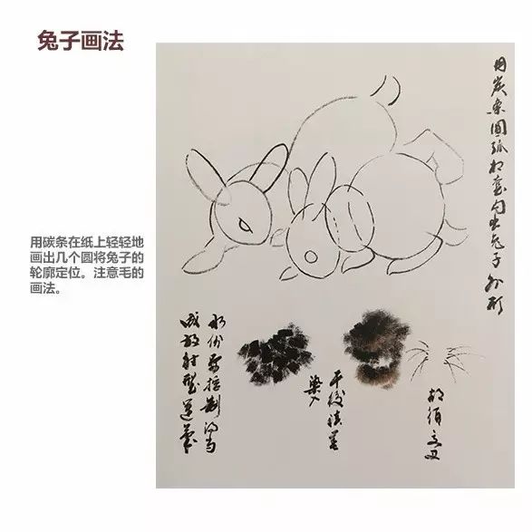 兔子的画法