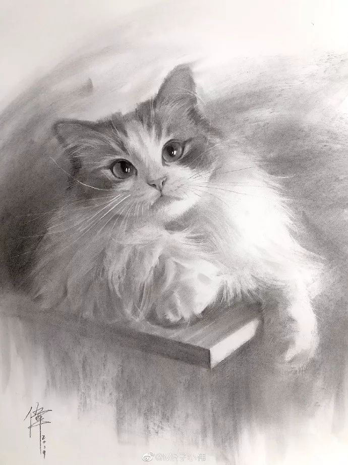 快疯掉了,这位大神的水彩,彩铅,笔笔都是功力,魂都被他画出来了._素描