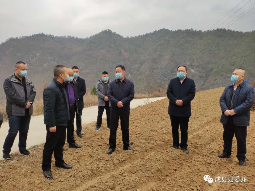 杨彦到宋坪,镡河调研指导脱贫攻坚,春耕生产,复工复产,产业发展工作