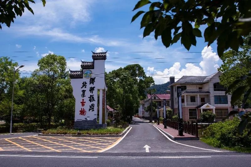 【市县"疫"线】靖安:抗疫保家援镇,新农人有担当