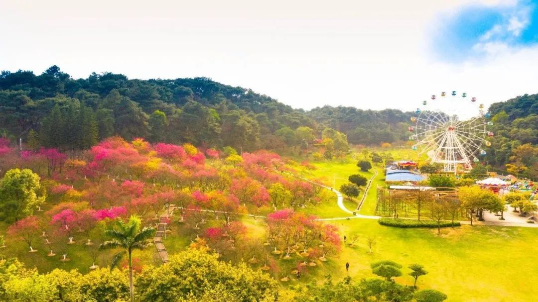 石門森林公園